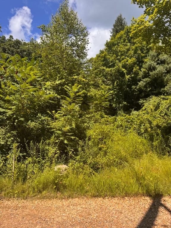 264 Breen Road, Hardwick MA 01082 photo 4