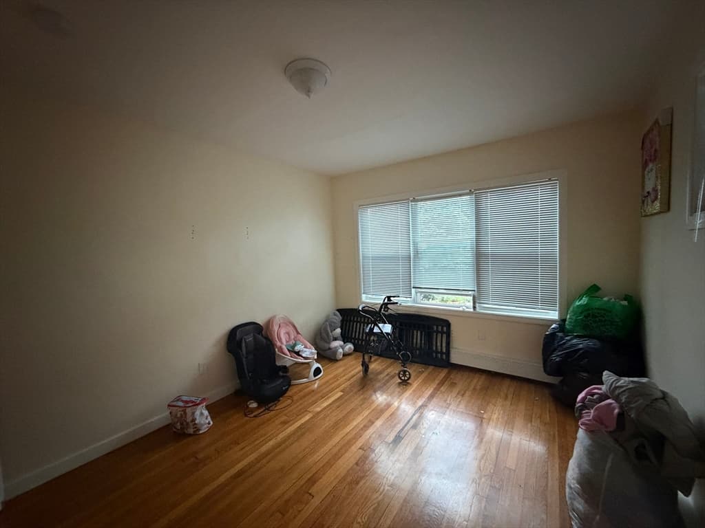 125 Rosseter St, Boston MA 02121 photo 19