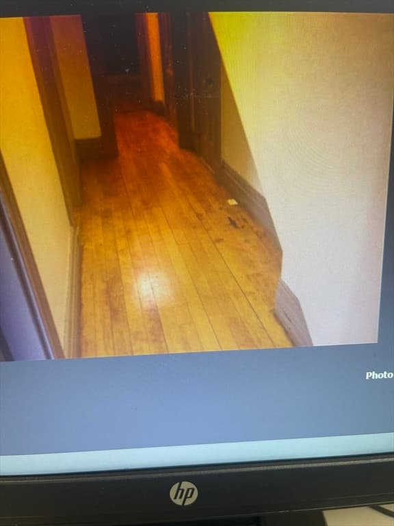 30 Alaska St, Boston MA 02119 photo 10