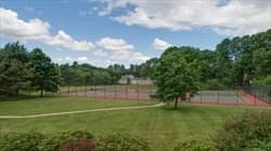 15 Hawthorne Lane # 15, Bedford MA 01730 photo 29