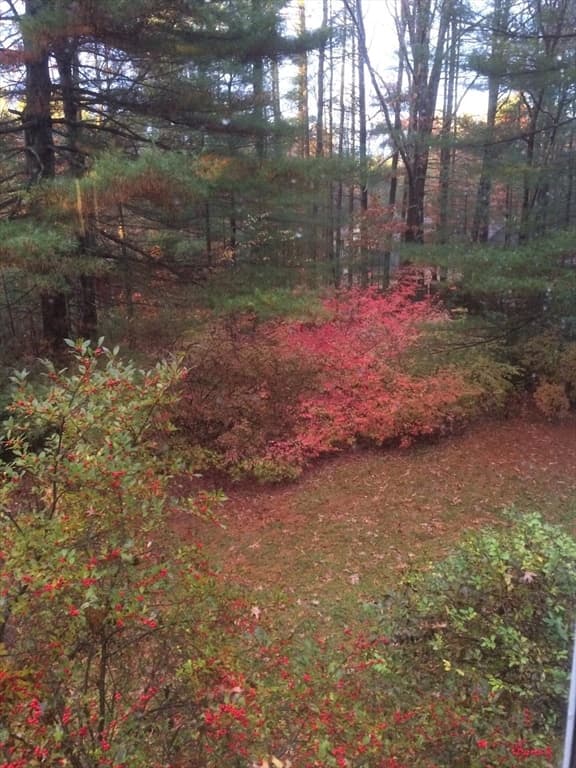 494 Station Rd, Amherst MA 01002 photo 30