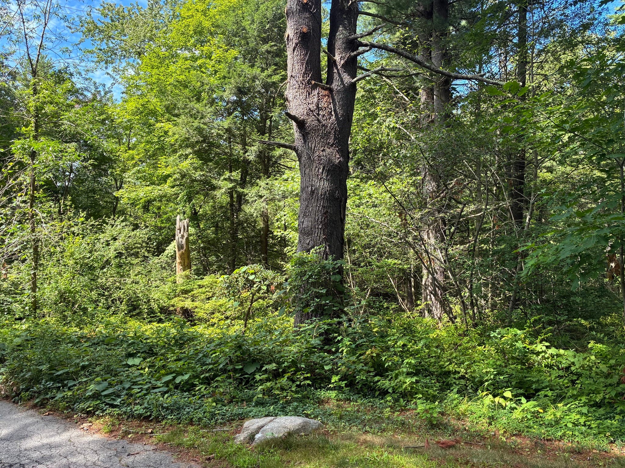 0 Meyer Ln, Hamilton MA 01982