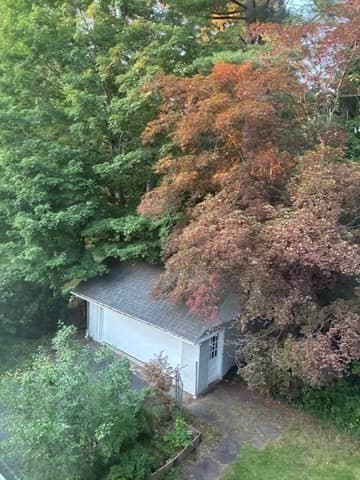 100 Dana, Amherst MA 01002 photo 4