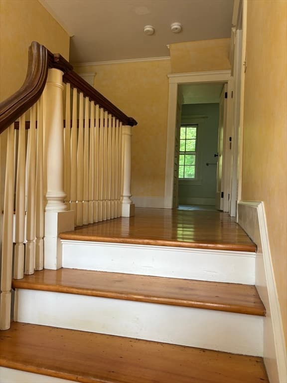100 Dana, Amherst MA 01002 photo 25