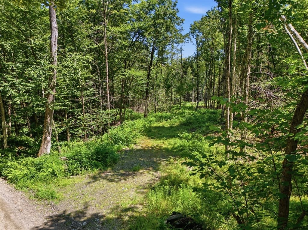 Lot 00 Thayer Hill Road, Worthington MA 01098