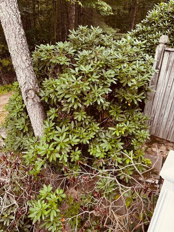 502 Cardinal Ln # 502, Tyngsborough MA 01879 photo 39