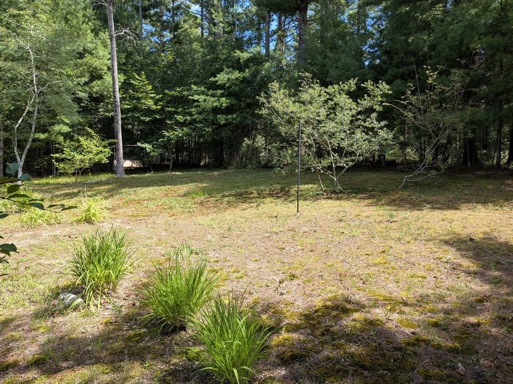 10 Jefferson Way, Carver MA 02330 photo 38