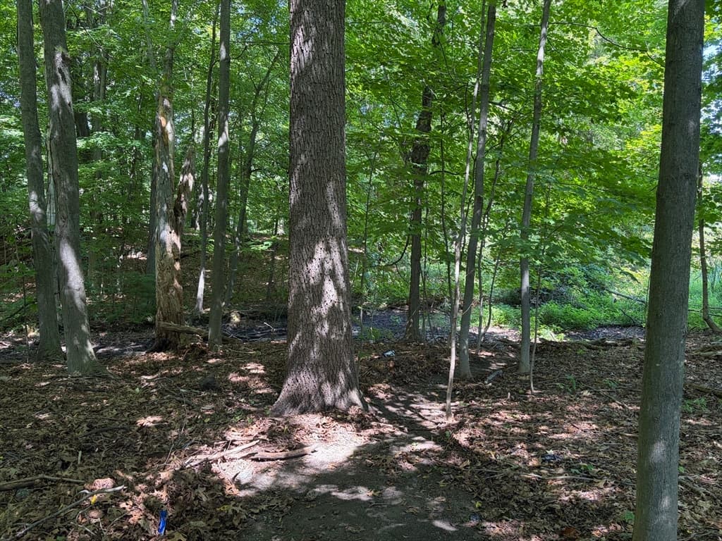 Residential at 15 Myrna Rd, Lexington MA 02420, Lexington, photo 4 of 7