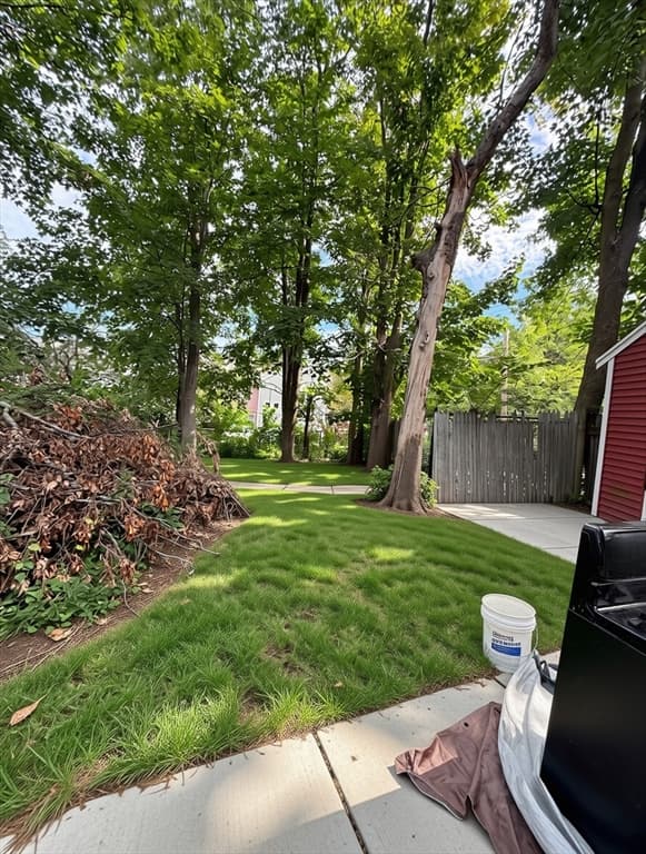 12 Forest, Boston MA 02119 photo 15