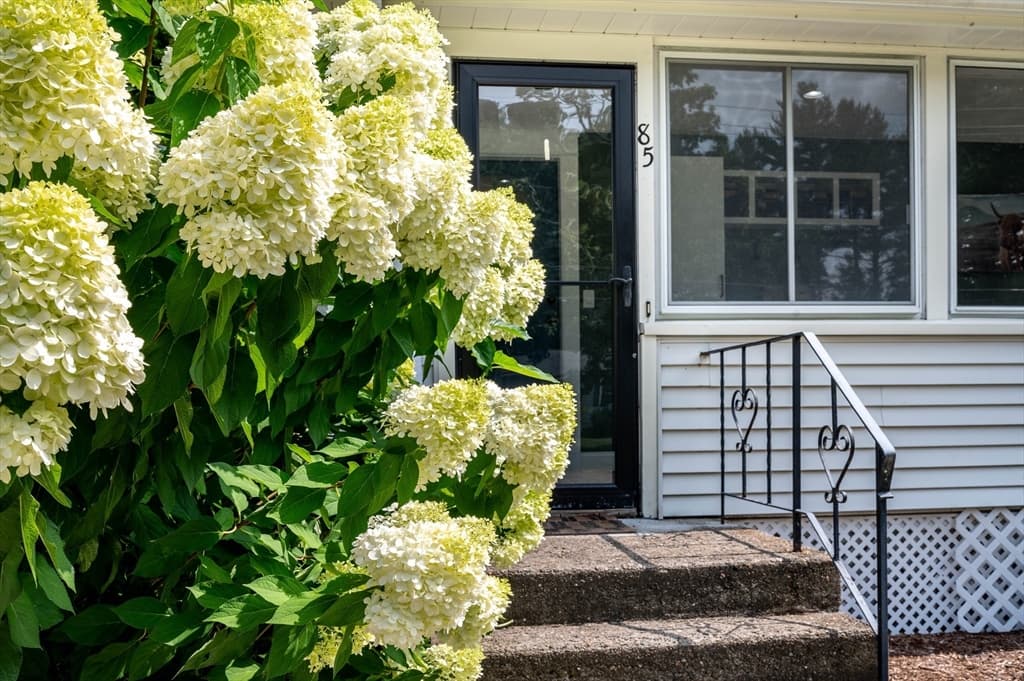 85 Lincoln Rd, Walpole MA 02081 photo 5