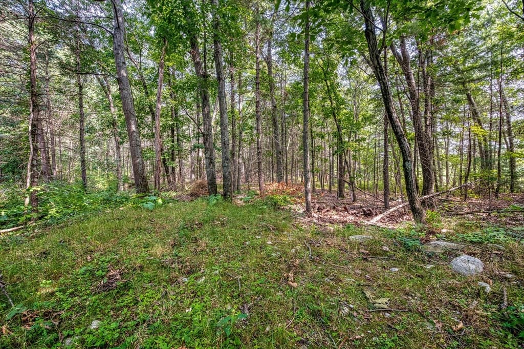 85 Lincoln Rd, Walpole MA 02081 photo 37