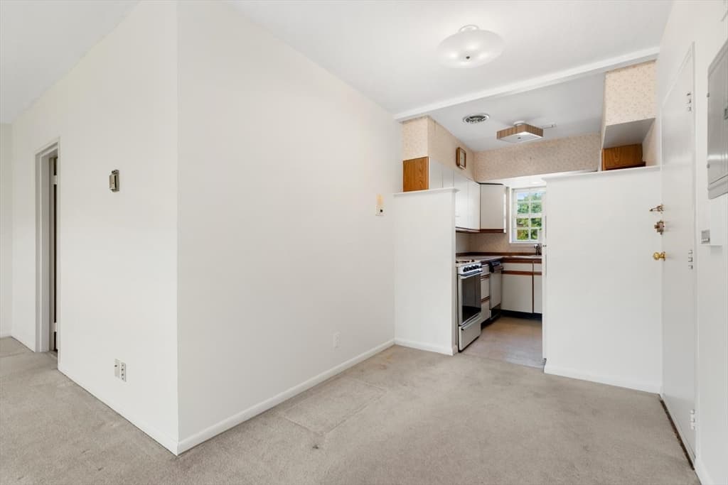 173 Lake Shore Rd # 3, Boston MA 02135 photo 9