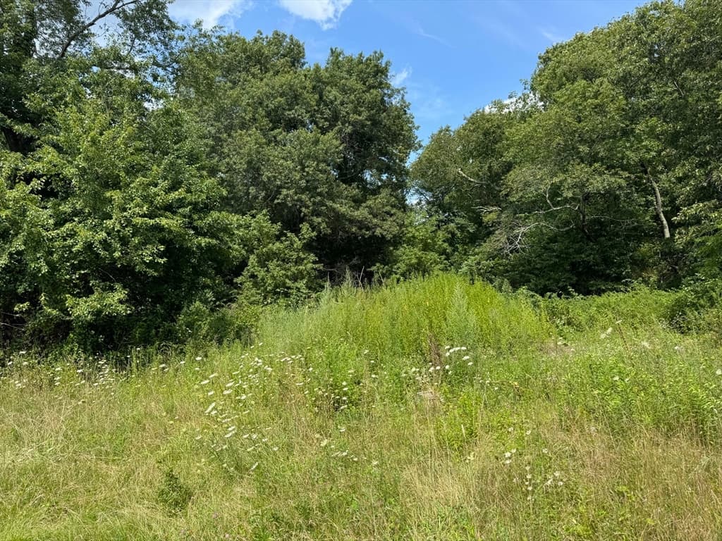 203R Providence St. Bldr. Lot 6, Rehoboth MA 02769 photo 4