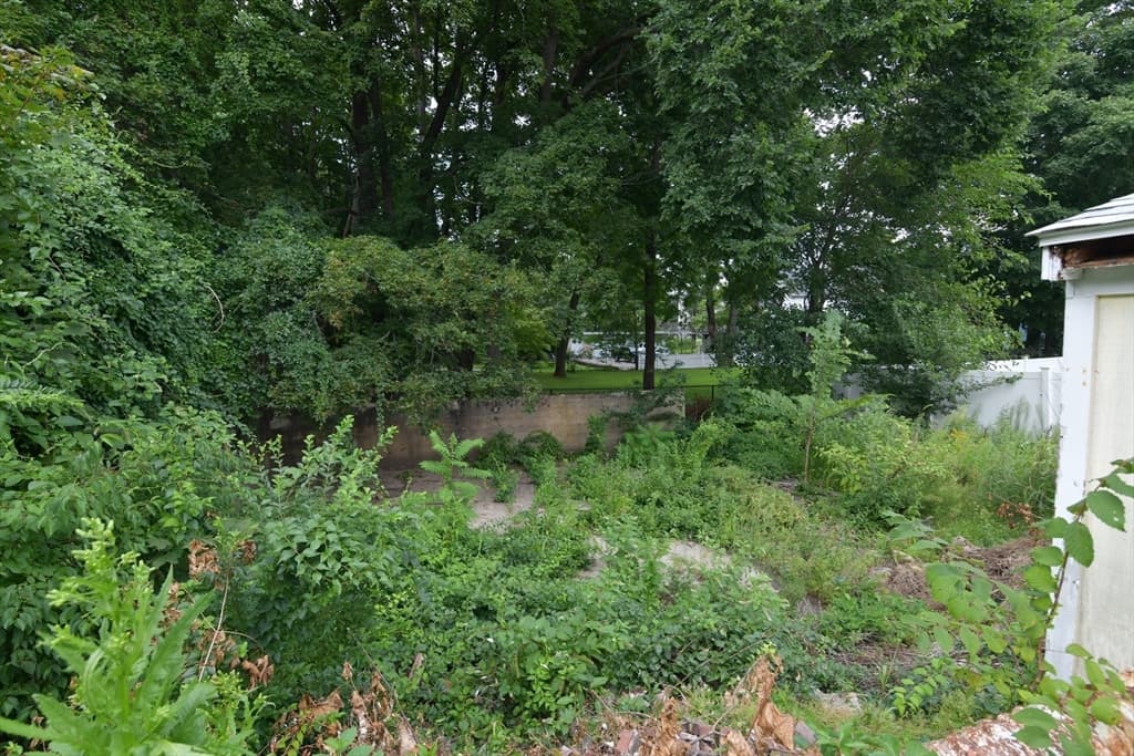 15 Mccarthy Street, Franklin MA 02038 photo 18