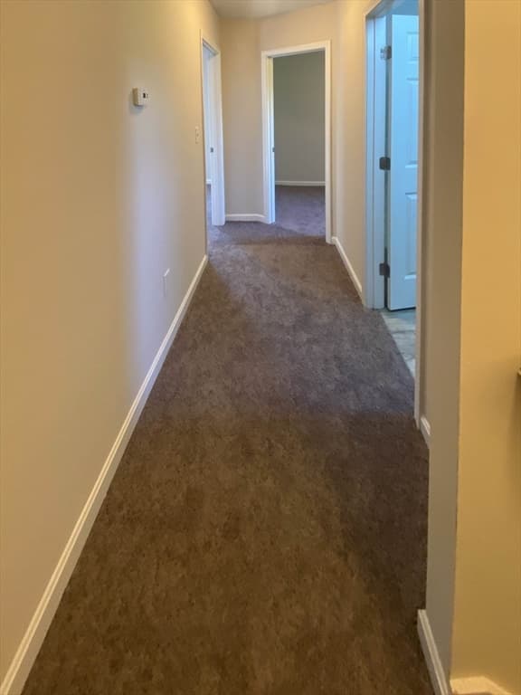 6 Carter Street, Webster MA 01570 photo 24