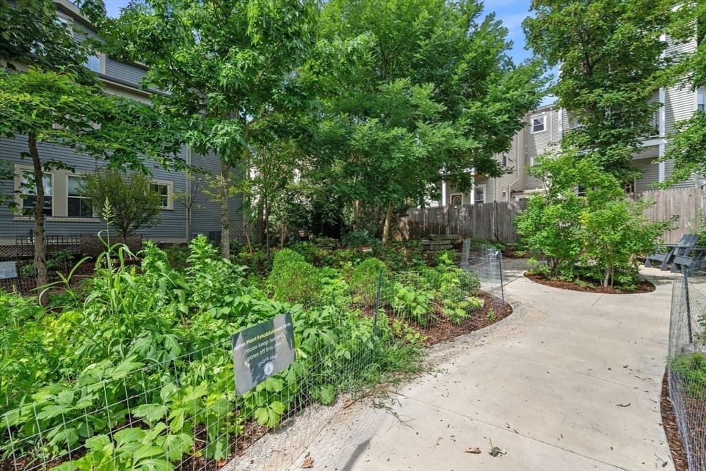 21 School St # 1L, Somerville MA 02143 photo 28