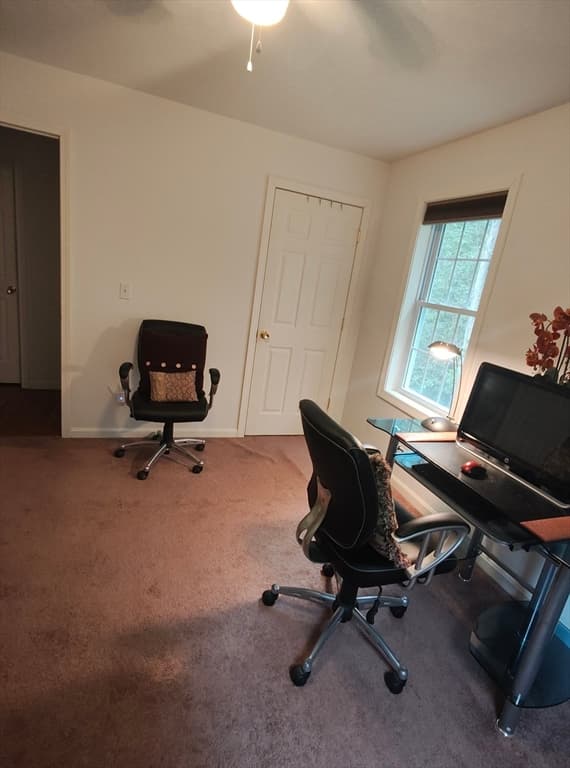299 River St, Leicester MA 01524 photo 31