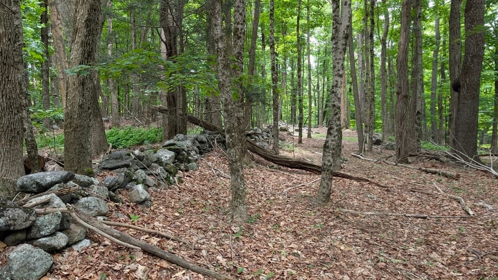 951 West Rd, Ashfield MA 01330 photo 12