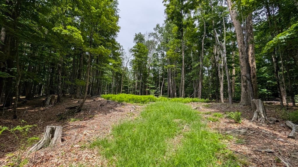951 West Rd, Ashfield MA 01330 photo 20