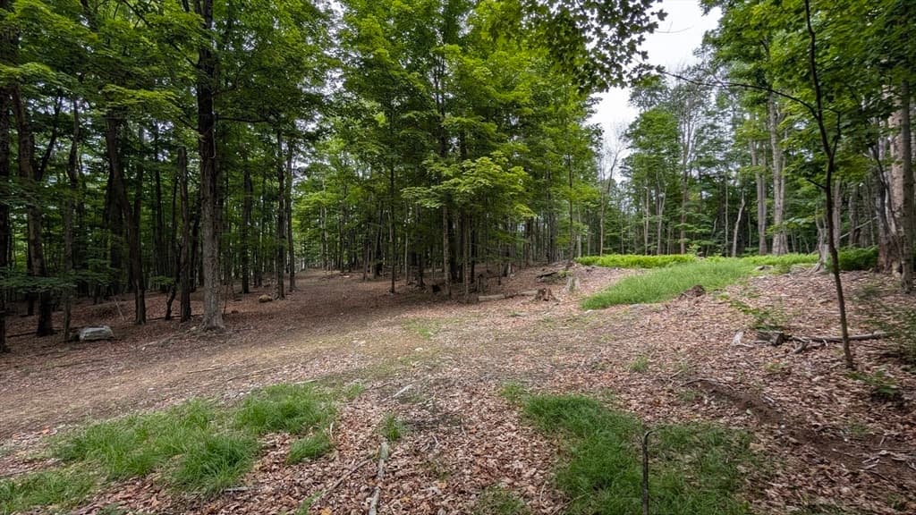 951 West Rd, Ashfield MA 01330 photo 21
