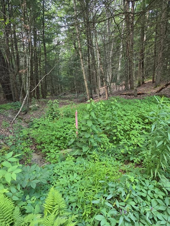 Lot 2 Sampson Road, Huntington MA 01050 photo 2