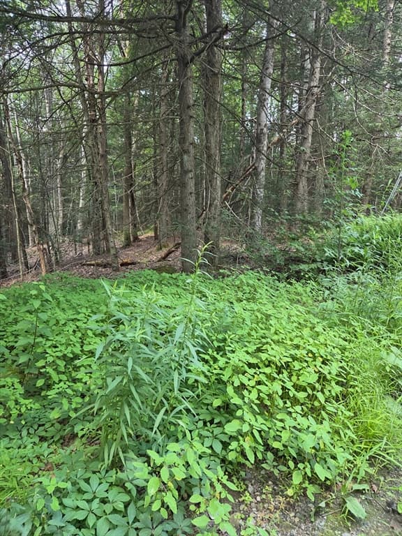 Lot 2 Sampson Road, Huntington MA 01050 photo 3