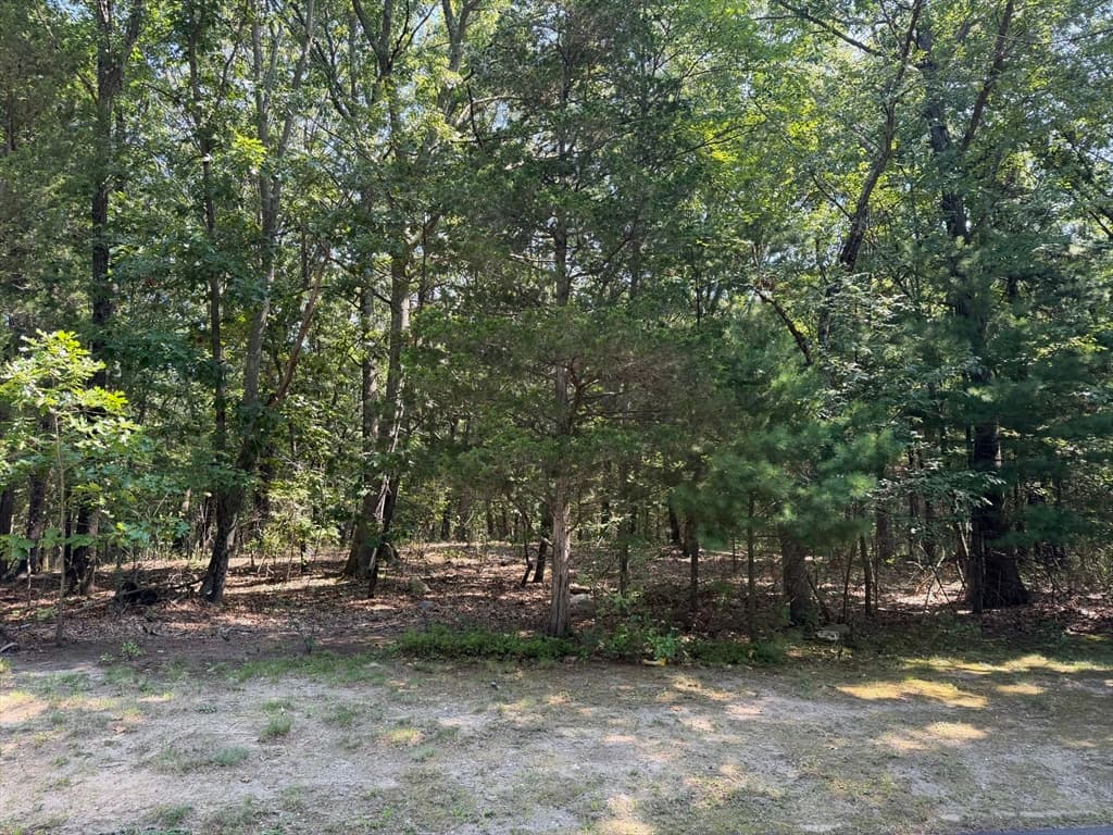 3 Reiling Pond Road, Lincoln MA 01773 photo 7