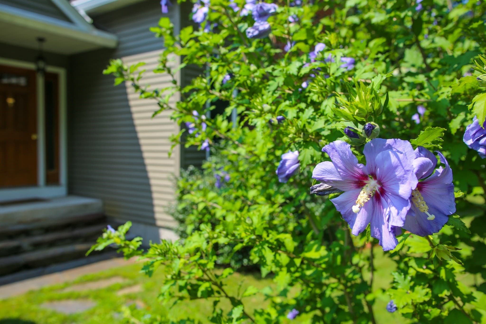 Single Family Residence at 18 East Road, Adams MA 01220, photo 4 of 37