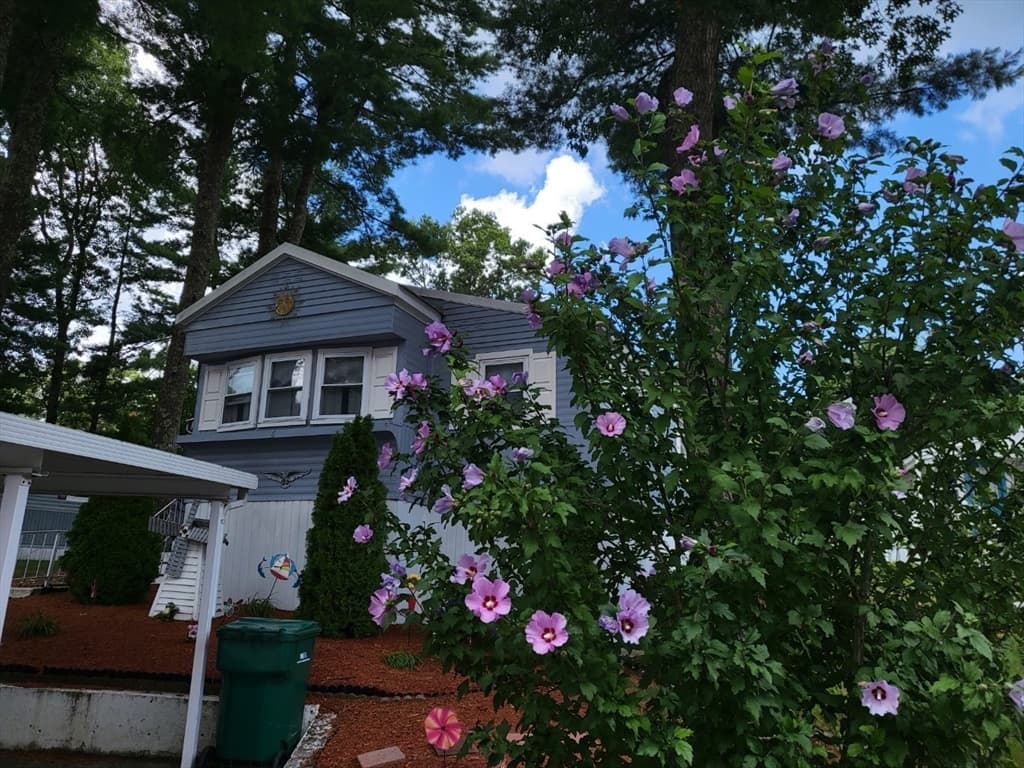 6 Forestdale Drive, Halifax MA 02338 photo 15