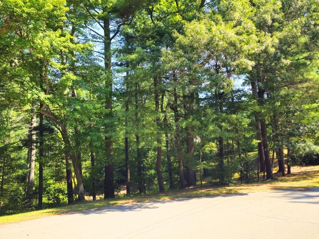 0 Nel Bonney Road, Plympton MA 02367 photo 6