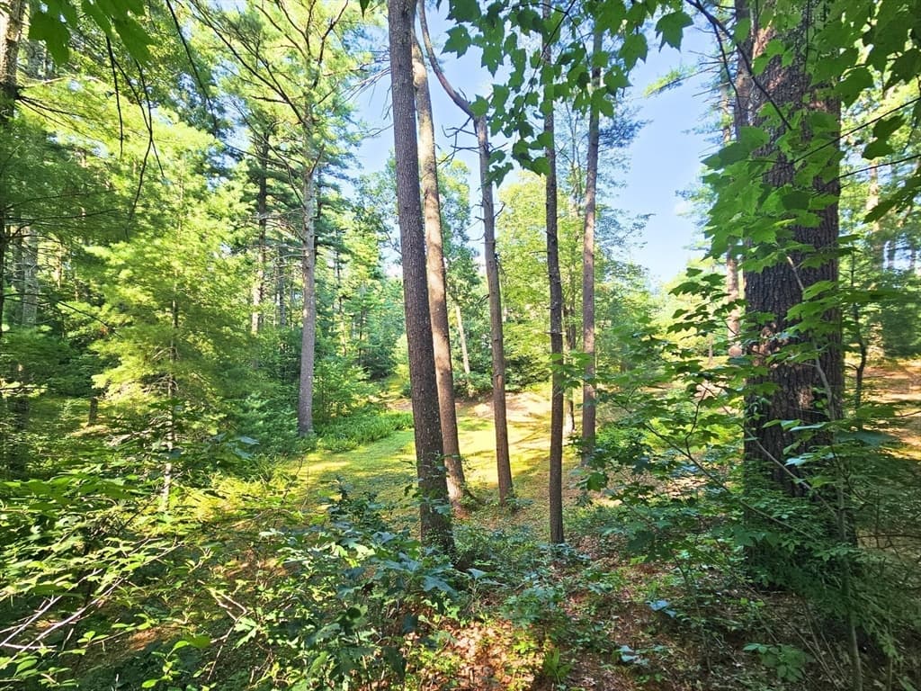 0 Nel Bonney Road, Plympton MA 02367 photo 10