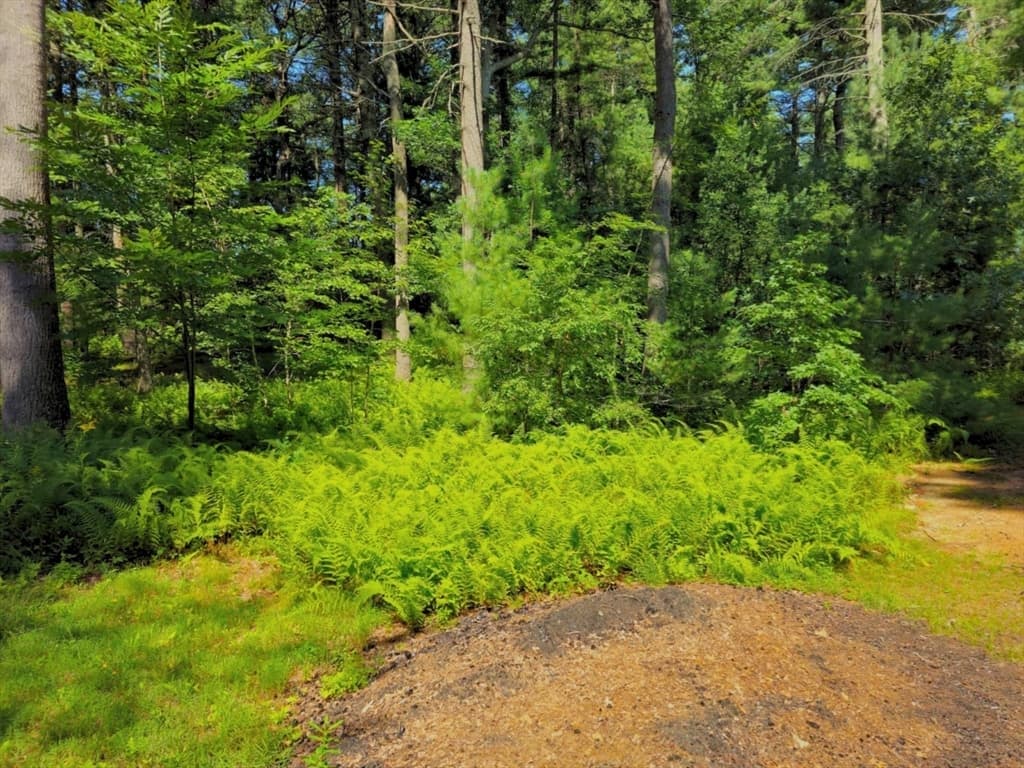 0 Nel Bonney Road, Plympton MA 02367 photo 4
