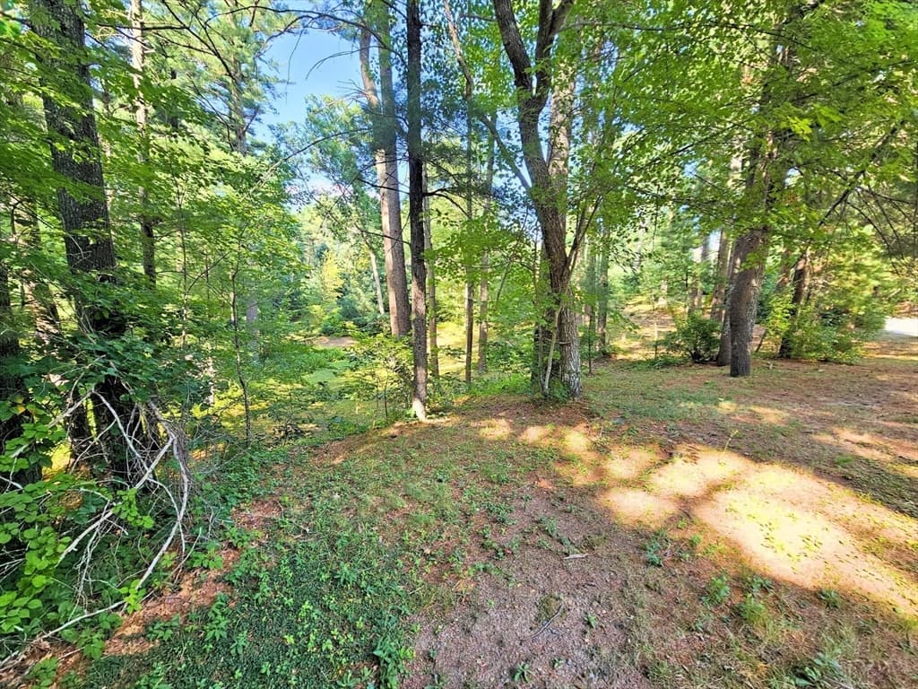 0 Nel Bonney Road, Plympton MA 02367 photo 8