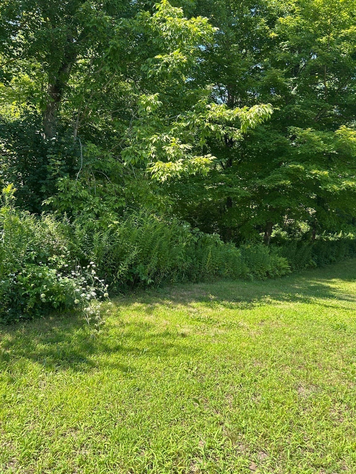 Single Family Residence at 468 Podunk Road, East Brookfield MA 01515, East Brookfield, photo 31 of 35