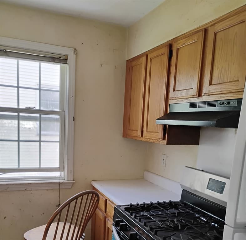 Multi Family at 24-28 Glenway, Boston MA 02121, Boston, photo 2 of 19