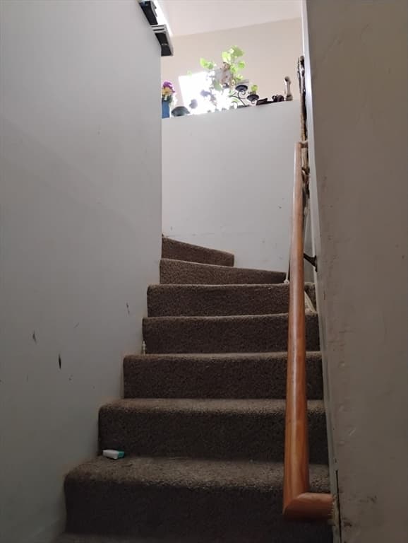 Multi Family at 24-28 Glenway, Boston MA 02121, Boston, photo 8 of 19