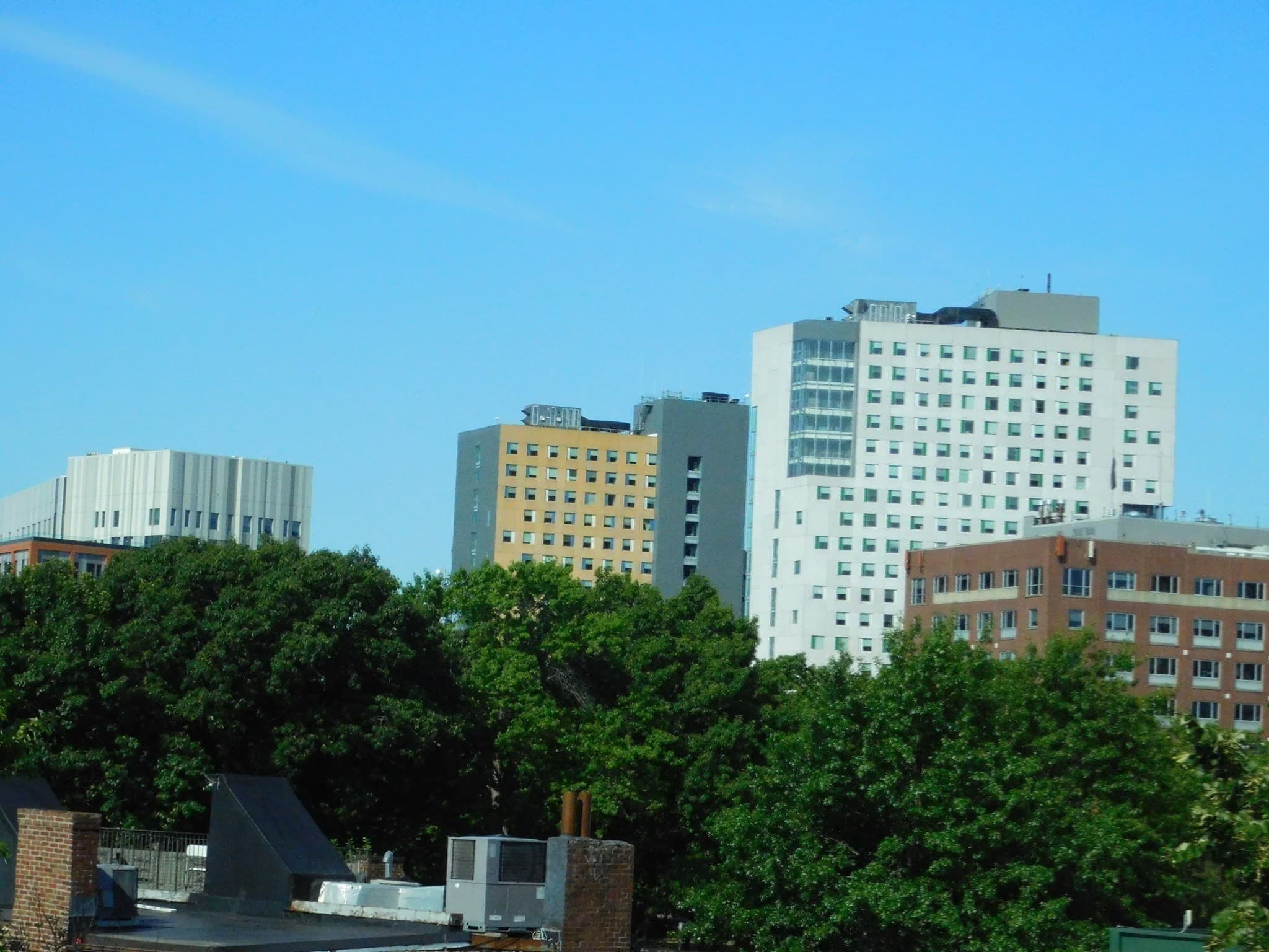 Single Family Residence at 41 Greenwich St, Boston MA 02120, Boston, photo 26 of 28