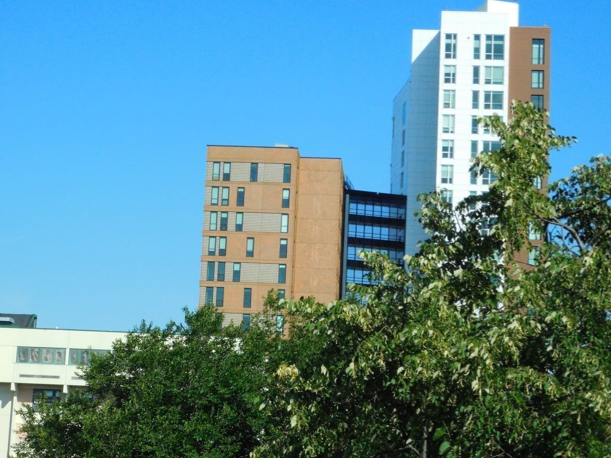 Single Family Residence at 41 Greenwich St, Boston MA 02120, Boston, photo 25 of 28