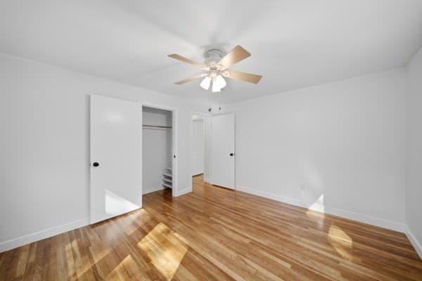 181 Whitcomb Ave, Littleton MA 01460 photo 19
