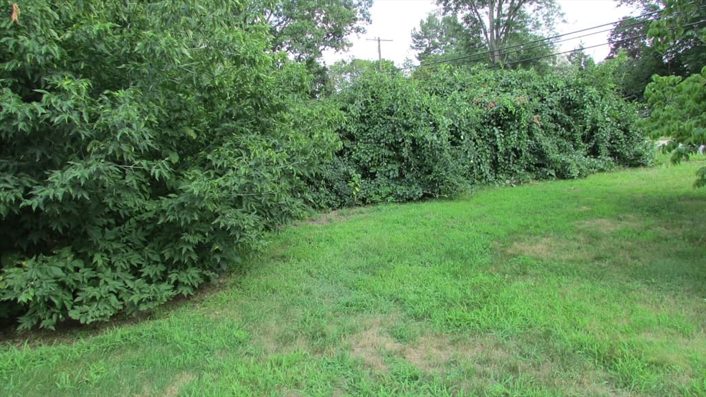 308 Salem Road, Billerica MA 01821 photo 2