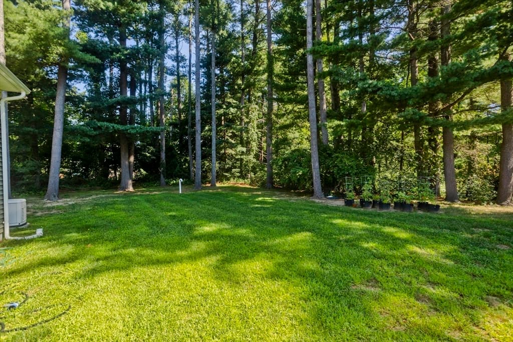 6 Joan St, Wilbraham MA 01095 photo 42