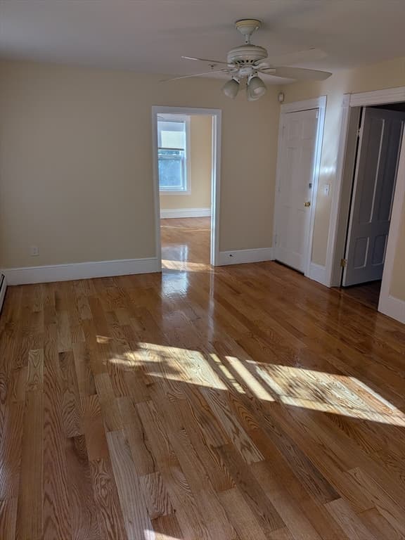 7 Albert St, Worcester MA 01610 photo 5