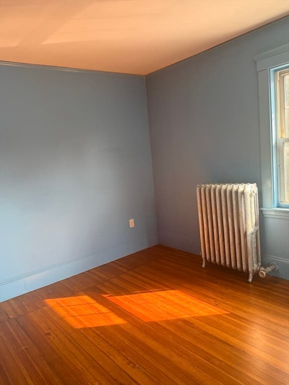 41 Colberg, Boston MA 02131 photo 17
