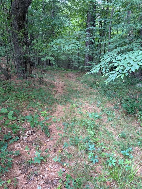 Lot 12 Lebanon Hill Rd, Southbridge MA 01550