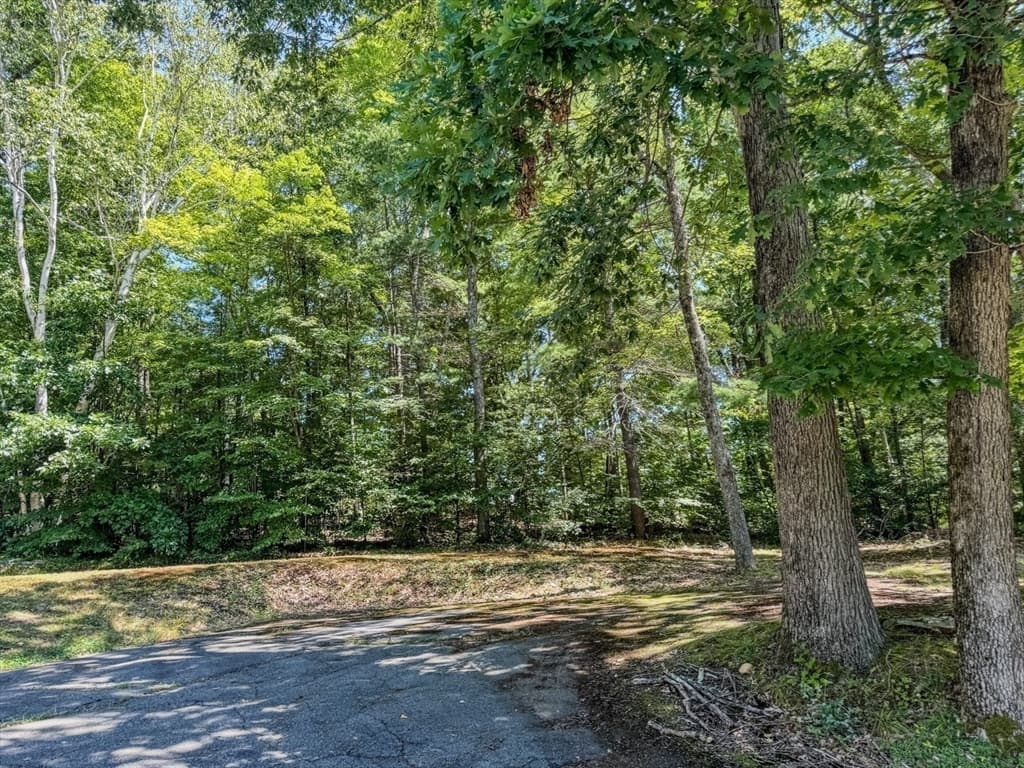 191 Old State Road, Erving MA 01344 photo 35