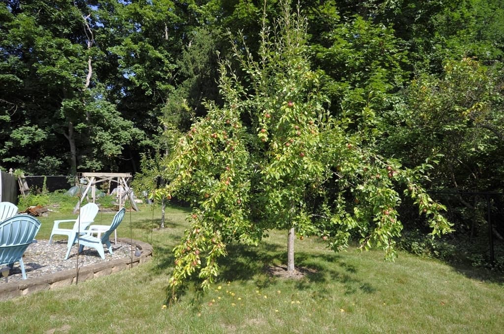 32 Brenda Ave, East Bridgewater MA 02333 photo 28