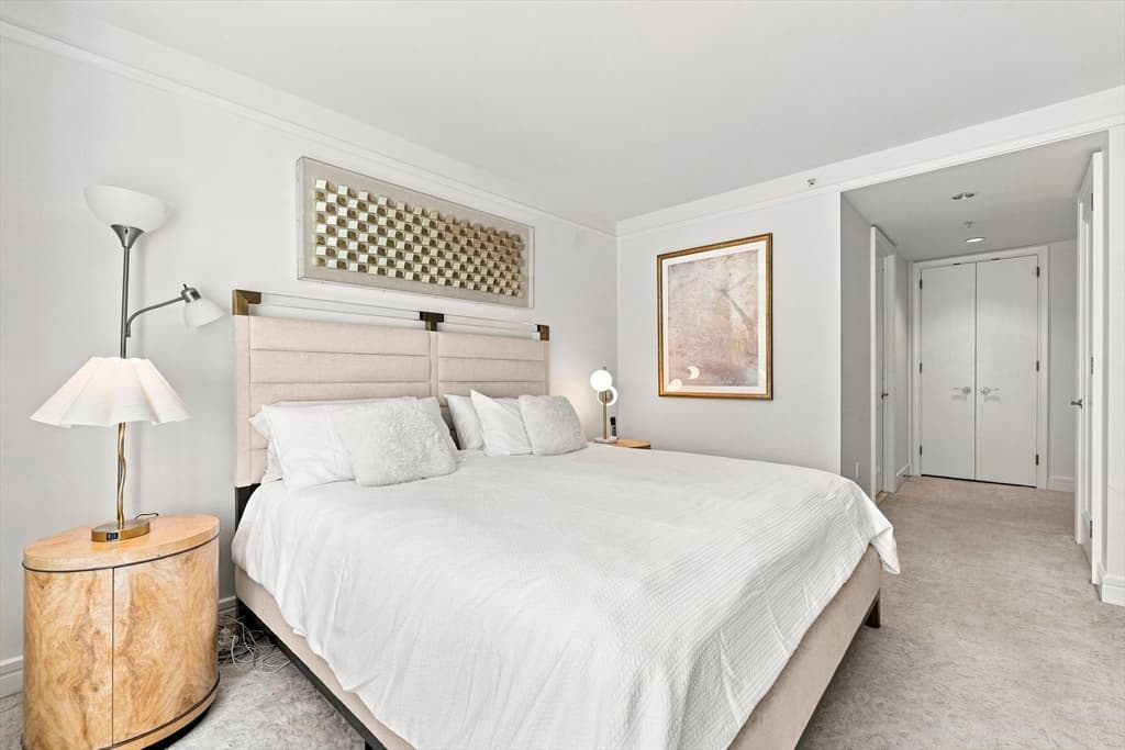 3 Avery St # 305, Boston MA 02111 photo 21