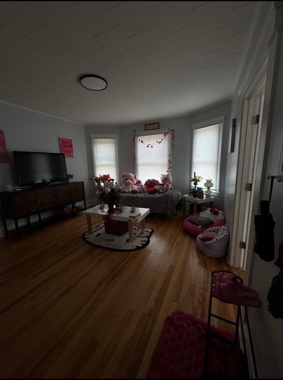 484 Park Ave, Worcester MA 01610