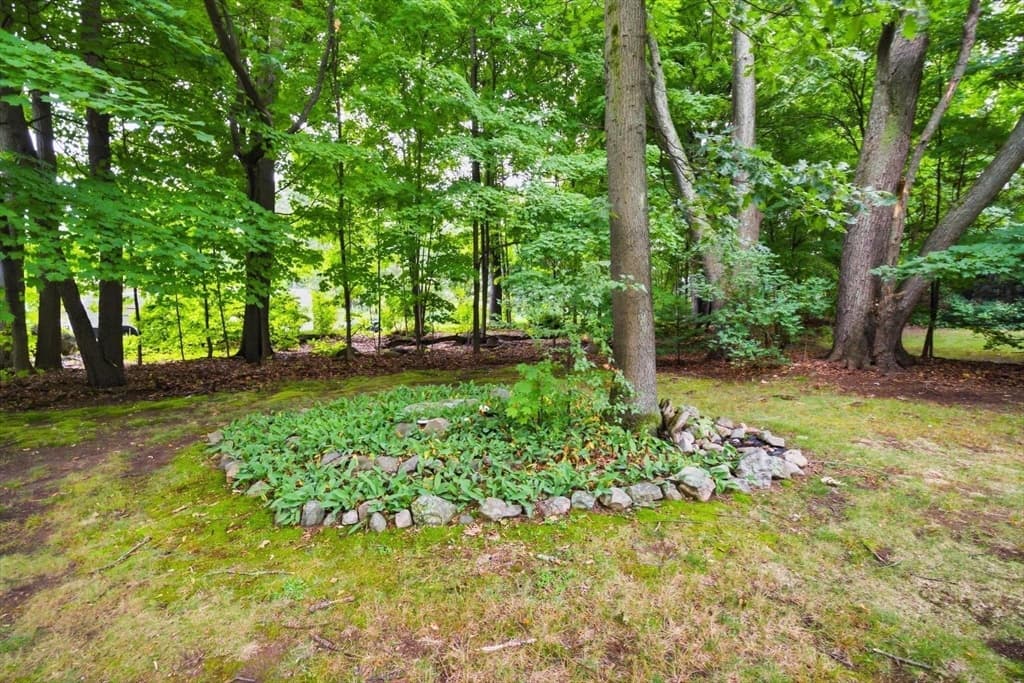 219 Montvale, Woburn MA 01801 photo 5