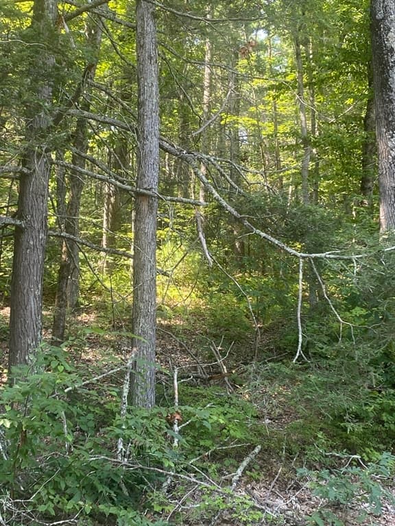 LT 73 73.1 Old Gilbertville Rd, Ware MA 01082 photo 5